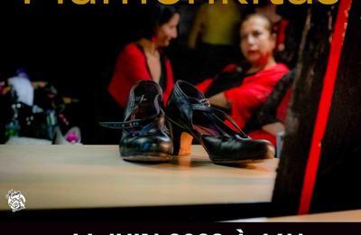 Spectacle Flamenco  Lyon