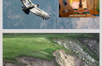 Tarkeada et Trotwood, Des Andes  l'Irlande!  Saint Etienne