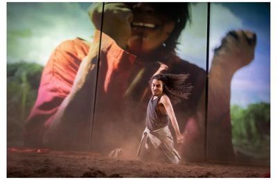 Antigone in the Amazon  Lyon