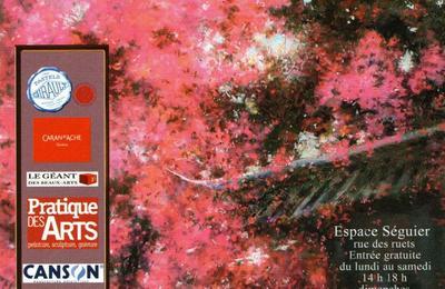 Salon international du pastel  Saint Brisson sur Loire