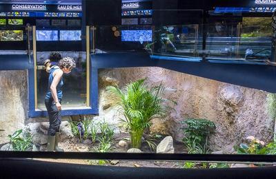 Les coulisses de l'Aquarium tropical  Paris 12me