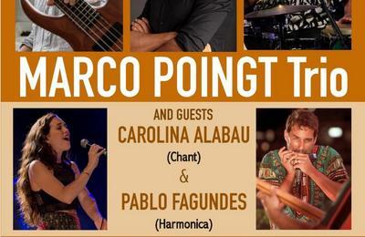 Marco Poingt Trio à Pont du Casse