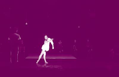 Perf Act Days, Barbara Amar, (f)lux  Tours