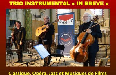 Trio In Breve, musique classique, de films, de jazz  Bourg en Bresse