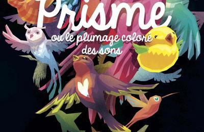 Prisme, ou le plumage coloré des sons à Saint Etienne