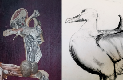Vernissage exposition, Emma Forestier et Jennifer Poulmarc'h  Brest