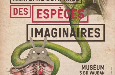 Anatomie comparée des espèces imaginaires à Auxerre