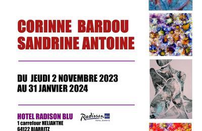 Exposition d'art fluide, un monde de couleurs à Biarritz
