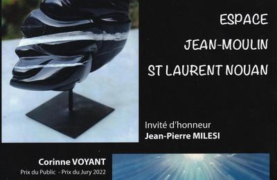 Exposition artistique, Saint-Laurent-Nouan-41220