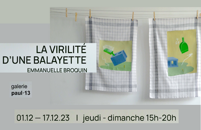 La virilit d'une balayette  Paris 17me