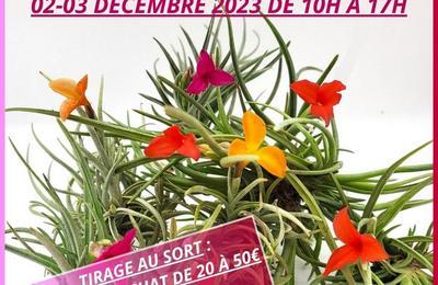Portes ouvertes  Aimargues