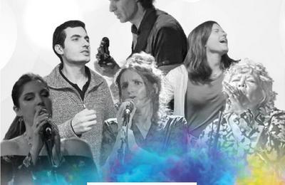 FD Music, Reprises de chansons franaises et trangres  Lyon