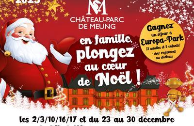 L'esprit de Noël au Château de Meung sur Loire !