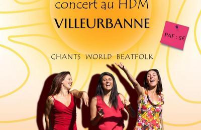 Concert Zibrunes musique world beatfolk  Villeurbanne