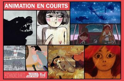Animation en courts  Paris 6me