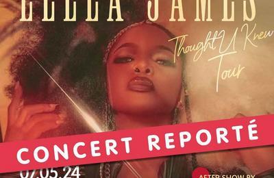 Leela James - thought U Knew Tour - Report  Paris 10me