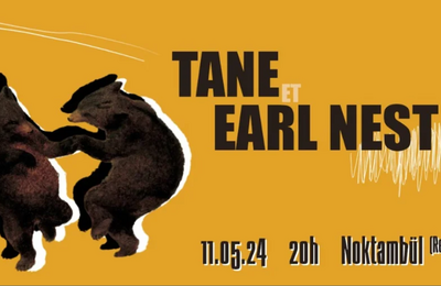 TANE, Ambient dub, lectro et rock, EARL NEST en 1re partie  Rennes
