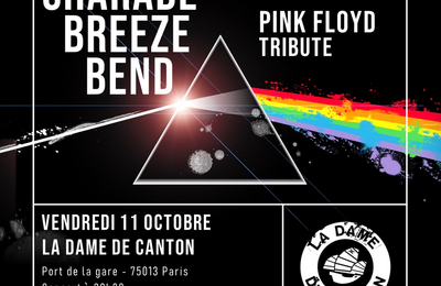 Concert Pink Floyd Tribute  La Dame de Canton  Paris 13me