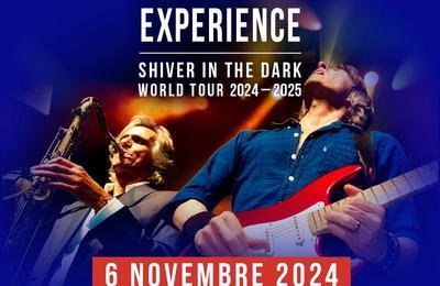 The Dire Straits Experience World Tour Shiver In The Dark  Paris 19me