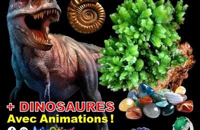 Salon des Minraux, Fossiles et Exposition Dinosaures  Arles