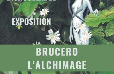 Exposition Brucero, l'Alchimage  Saint Herblain