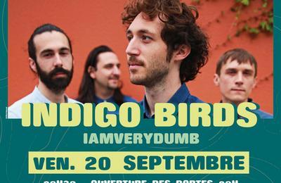 Concert : Indigo Birds et Iamverydumb  Lisieux