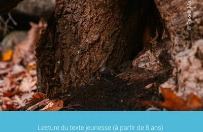 Lecture Publique, Gwendoline Soublin T(E)R:::R/IE:::R  Albi