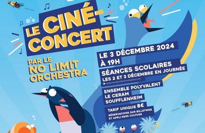 No Limit Orchestra : cin-concert Les super pouvoirs du vivant  Soufflenheim