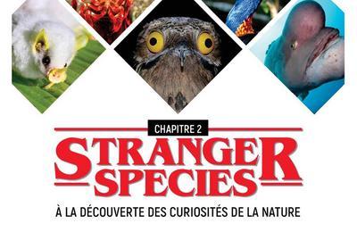 Stranger species :  la dcouverte des curiosits de la nature - Chapitre 2  Livinhac le Haut