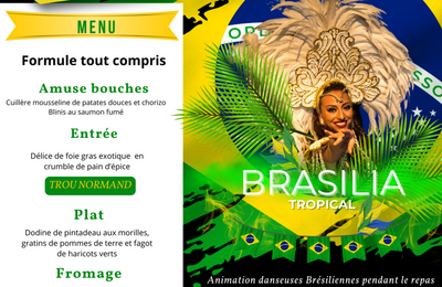 Rveillon de la st Sylvestre 2024 Brasilia Tropical SARTHE  Monce en Belin