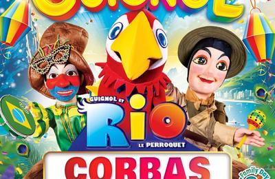 Guignol Rhne Alpes et Rio le majestueux perroquet  Corbas