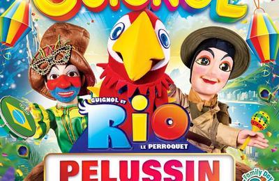 Guignol Rhne Alpes et Rio le majestueux perroquet  Pelussin