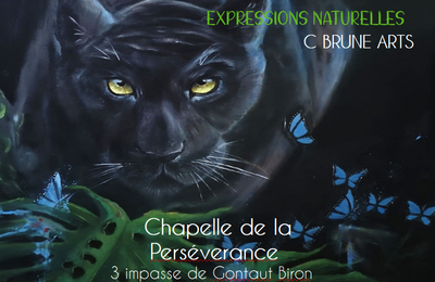 Exposition Expression Naturelles  Pau