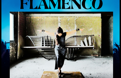 Diner Concert Danse Flamenco  Lyon