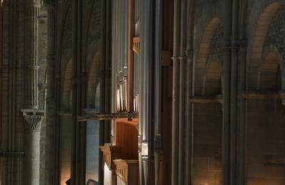  la dcouverte de l'orgue de la basilique Saint-Remi  travers un concert  Reims