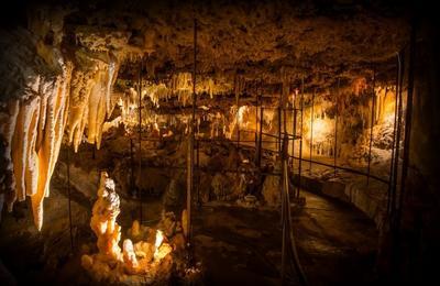  La Dcouverte De La Grotte Du Grand Roc  Eyzies de Tayac Sireuil