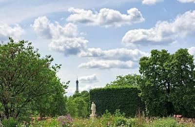 Découverte du jardin des Tuileries à Paris 1er