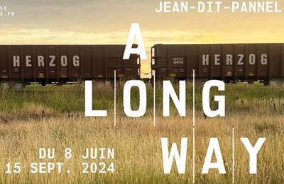 A Long Way de Lydie Jean-Dit-Pannel  Amilly