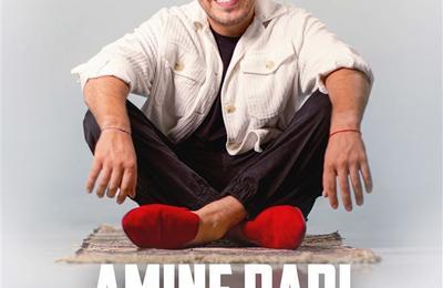 Amine Radi dans l'expert humoriste à Epinal
