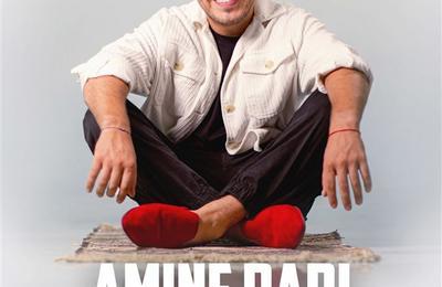 Amine Radi dans l'expert humoriste  Arles