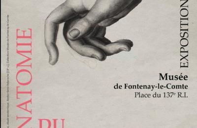 Anatomie Du Mouvement  Fontenay le Comte