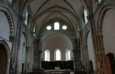 Ancienne abbaye Saint-Andr-le-Bas (glise et clotre)  Vienne