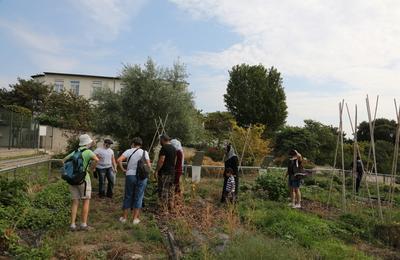 Animation autour de la rcolte de graines, jardin Vavilov, par la Direction de l'Environnement  Epinay sur Seine