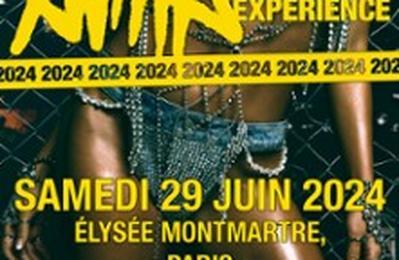 Anitta, Baile Funk Experience  Paris 18me