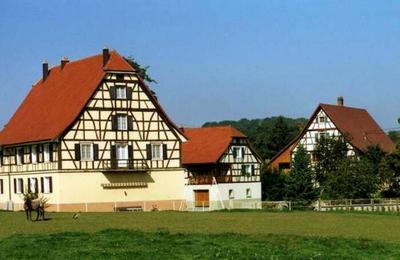 Arpentez avec un guide un village alsacien charmant et son patrimoine historique  Brinckheim