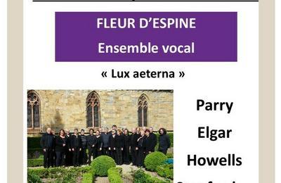 Concert de l'ensemble Fleur d'Espine au Muse du piano !  Limoux
