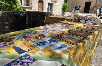 Atelier dans les jardins monastiques mdivaux  Aniane