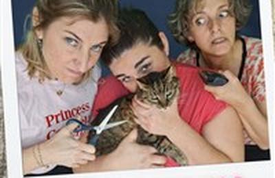 Audrey Perrin, Karo et Alinor dans Si tu viens pas on rase la chatte  Montpellier