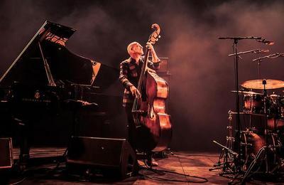 Avishai Cohen Trio  Dieppe