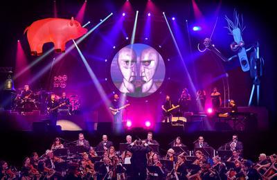 Back To The Floyd  Le Havre